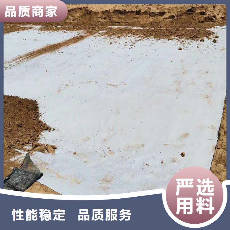 膨润土防水毯双向塑料土工格栅当日价格