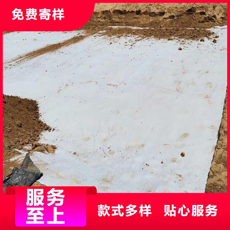 膨润土防水毯塑料土工格栅专注生产制造多年