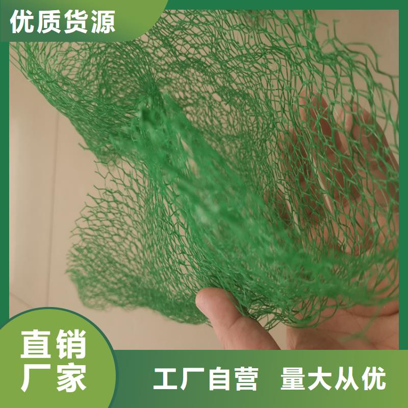 三维植被网-【土工格室】品牌大厂家