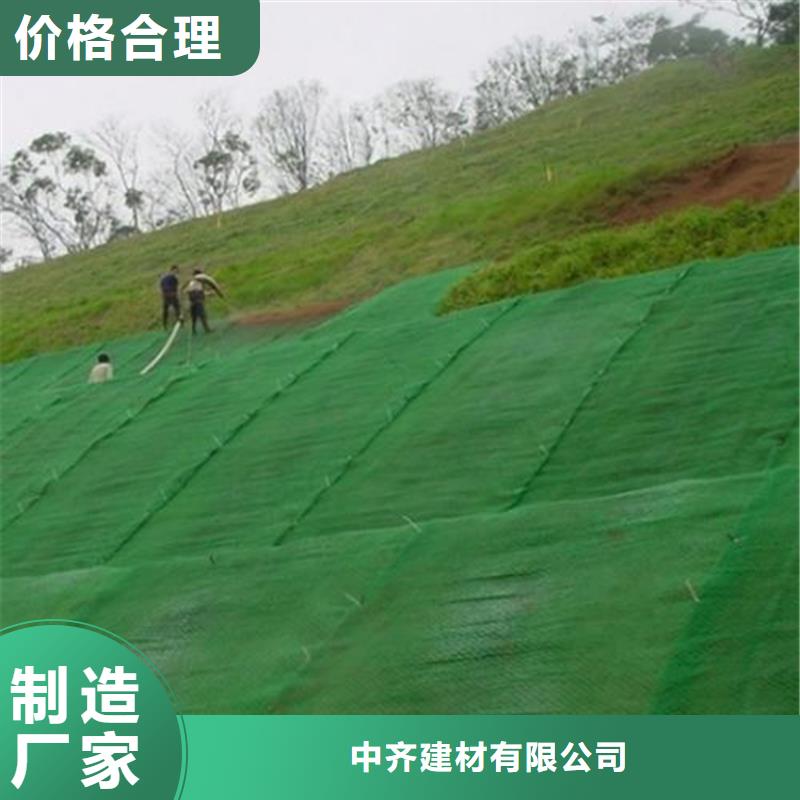 甄选：三维土工网垫使用规范