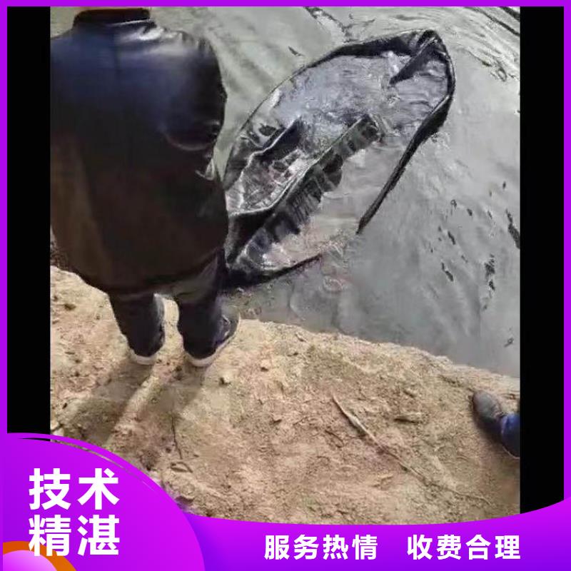 水下录像电话联系我就对了-潜水选择浪淘沙