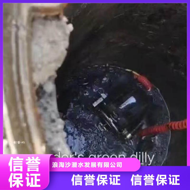 水下工程师动物价格低浪淘沙潜水员