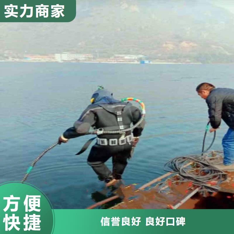 水下工程师动物价格低浪淘沙潜水员