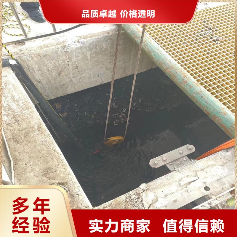 水下工程师动物价格低浪淘沙潜水员