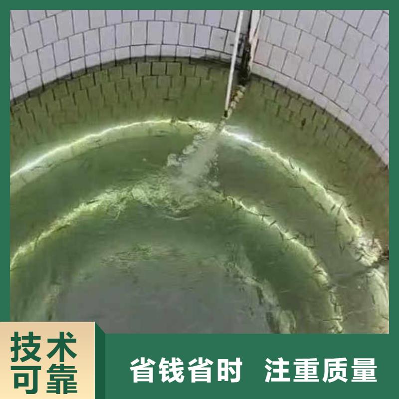 水下施工封堵工程口碑公司