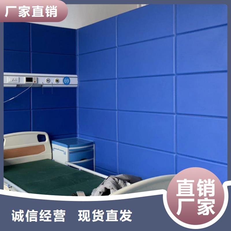 [凯音]深圳司法警察局墙面防撞软包吸音板