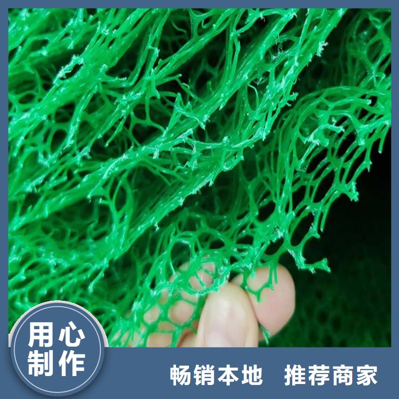 【三维植被网】软式透水管现货交易