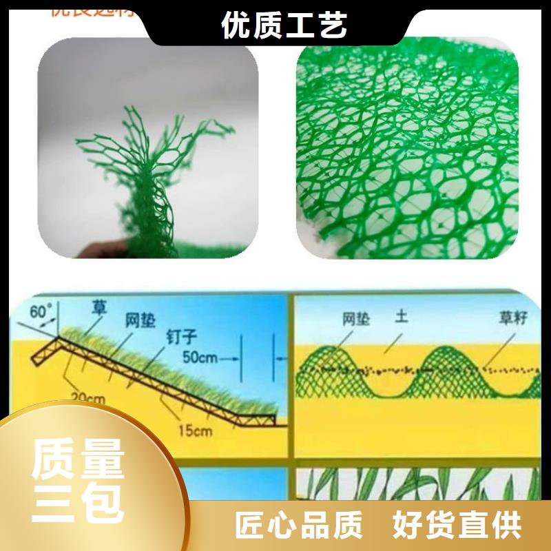 三维植被网铜片止水厂家产地厂家直销