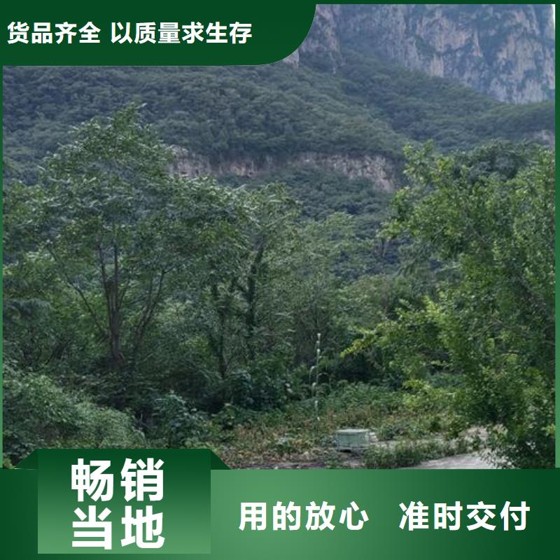 【小型混凝土泵,二次构造柱泵品质可靠】