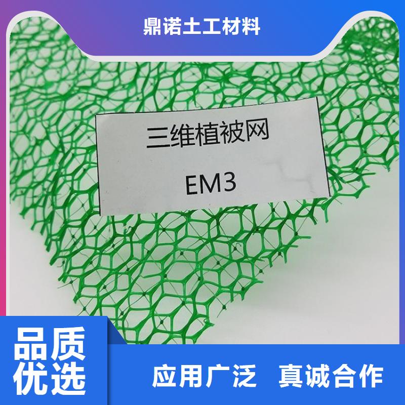 EM5三维加筋网垫-EM3三维植被网