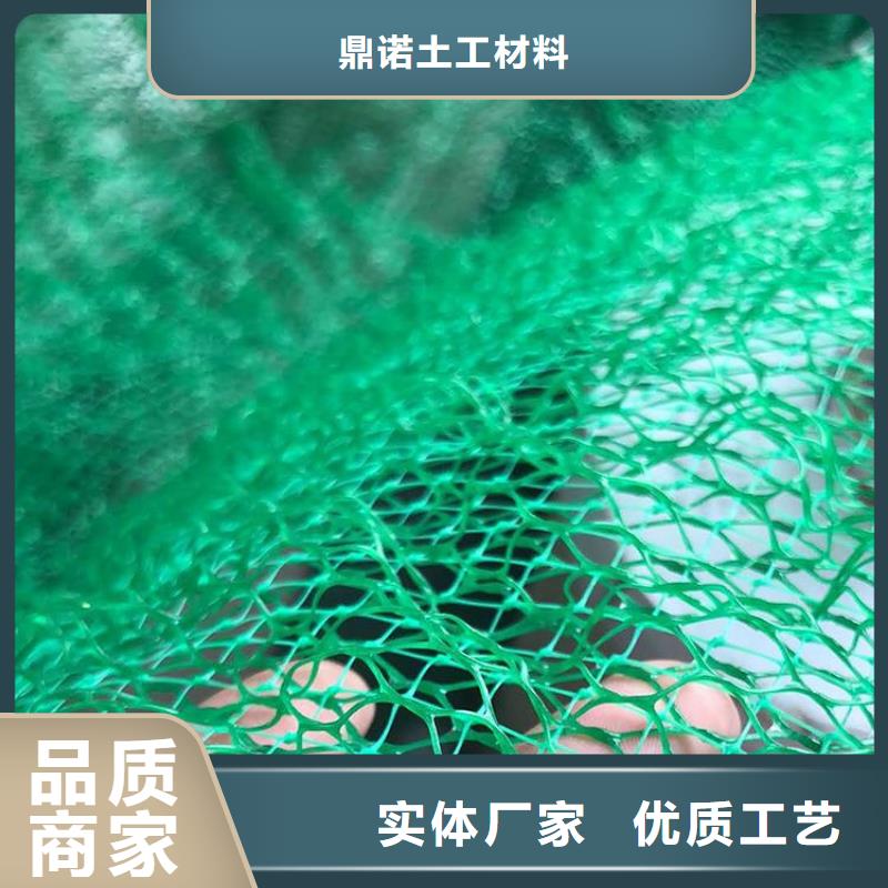 三维植被网-EM3三维土工网垫