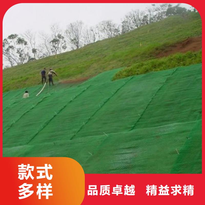出厂严格质检【中齐】三维植草护坡网垫-EM5三维植被网施工图片
