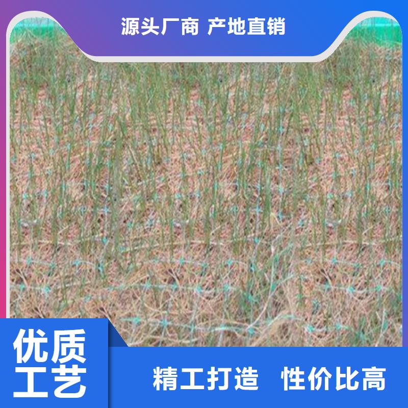 椰丝毯-塑料土工格栅快捷物流