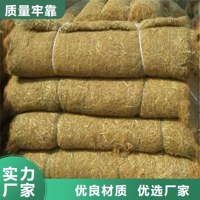 济宁直供椰丝绿化毯-椰丝草毯