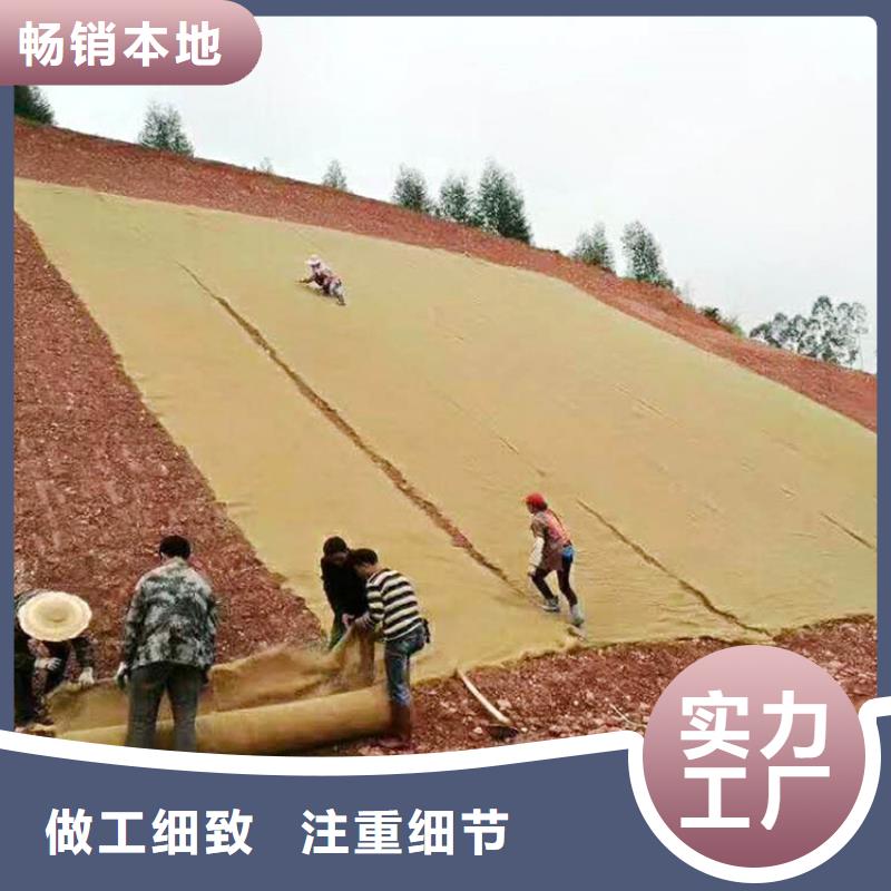 加筋植生毯价格公道