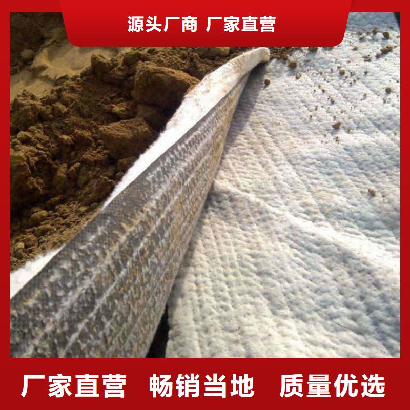 品质可靠<中齐>膨润土防水毯 防渗膜实力工厂