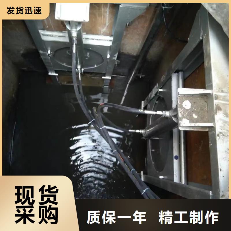 广东推荐商家[瑞鑫]荔湾区一体化泵站截流闸门