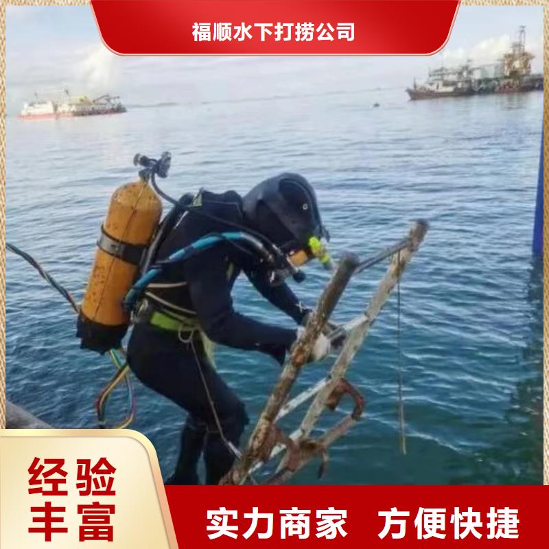 重庆市沙坪坝区潜水打捞溺水者

打捞服务