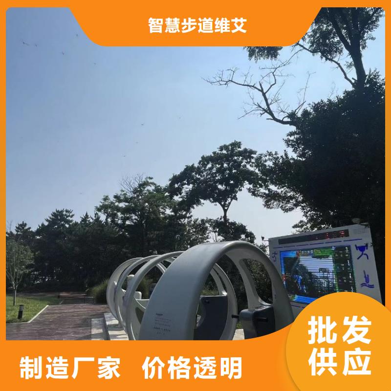 ai竞速跑道价格（维艾狄尔）