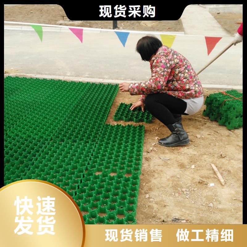 塑料植草格朋联工程材料有限公司厂家直营