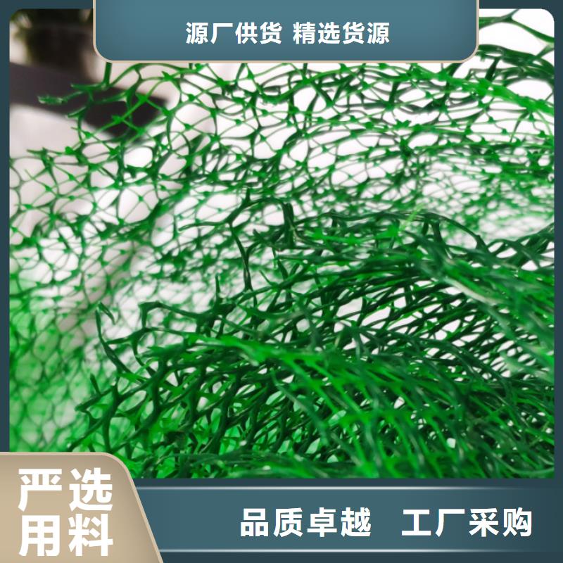 【三维植被网】植草格优良工艺