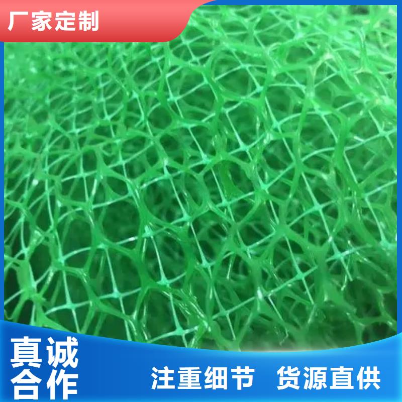 【三维植被网】植草格优良工艺