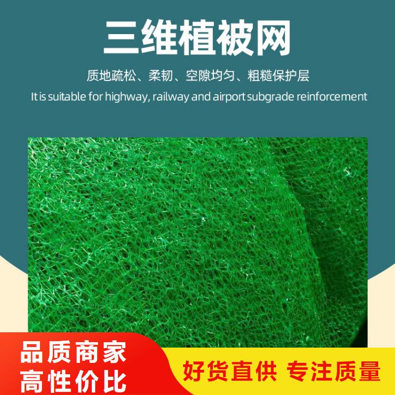 三维植被网型号全_全国供应