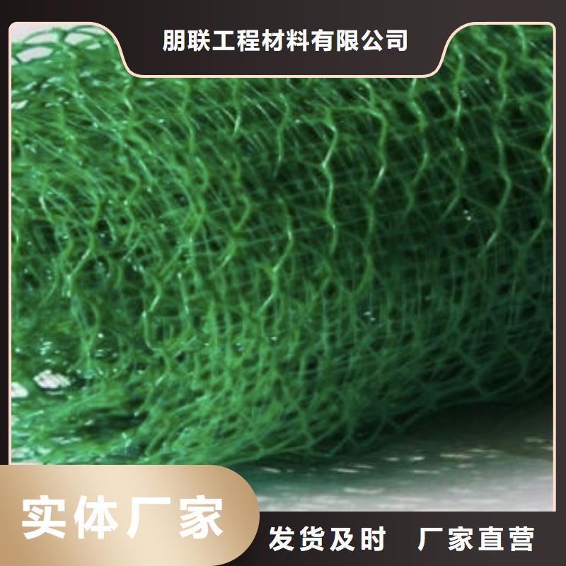 质保一年[朋联]三维植被网 排水板匠心品质