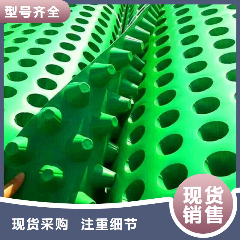 订购{秉薪}排水板塑料排水板专业生产制造厂