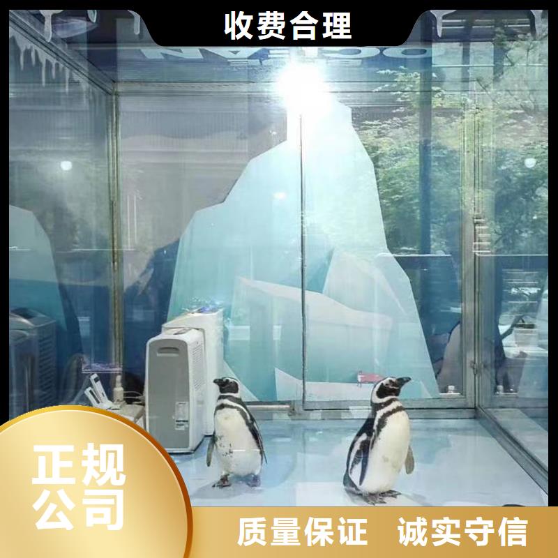 海洋主题动物表演【水族海洋展】品质服务