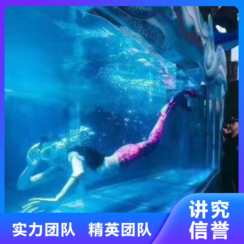 海洋主题动物表演,羊驼出租快速