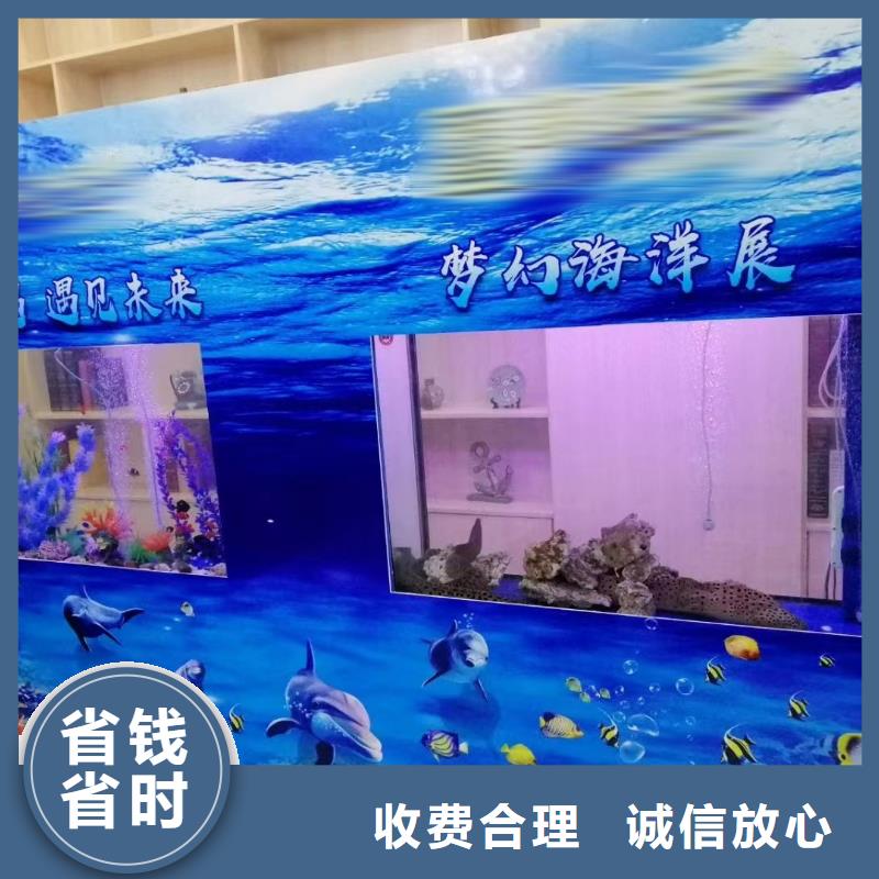 海洋主题动物表演【企鹅租赁】优质服务