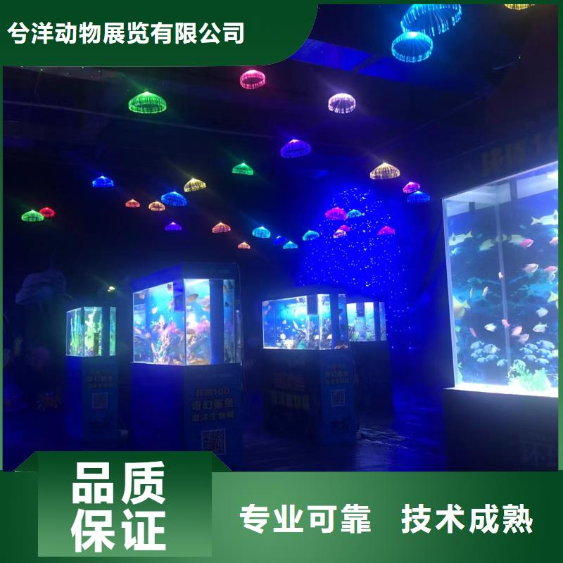 海洋生物展租赁联系方式