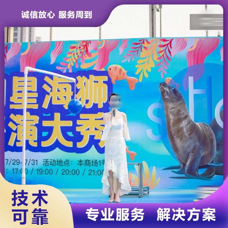 海洋生物展租赁暖场活动