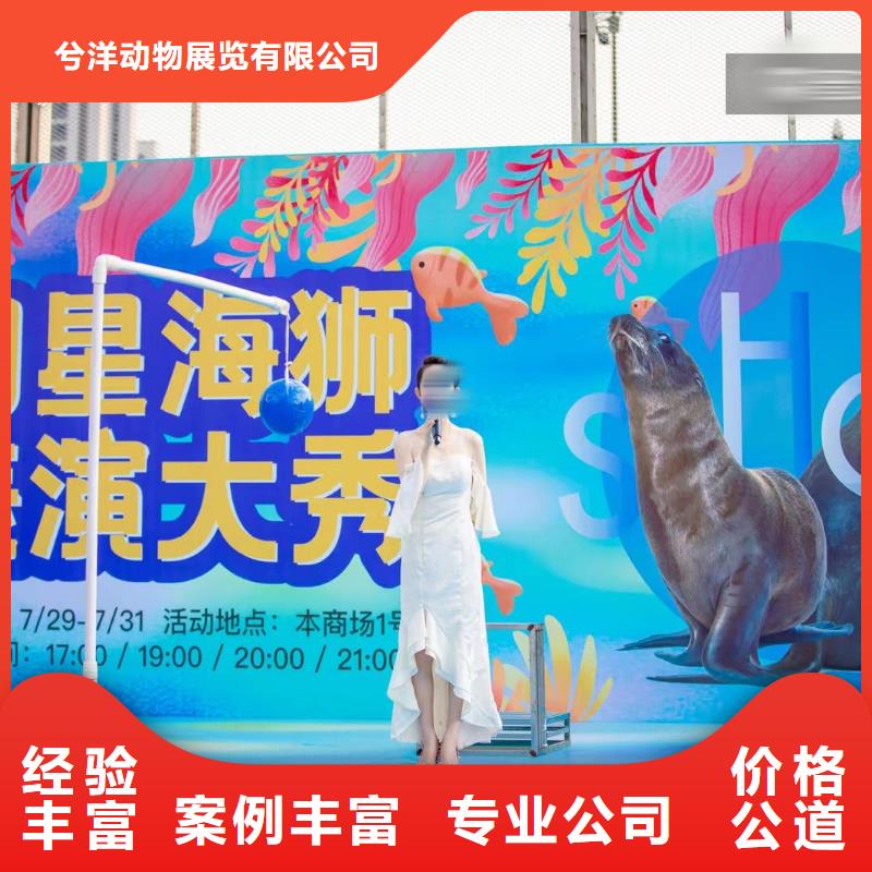 海洋展出租公司丰富多彩