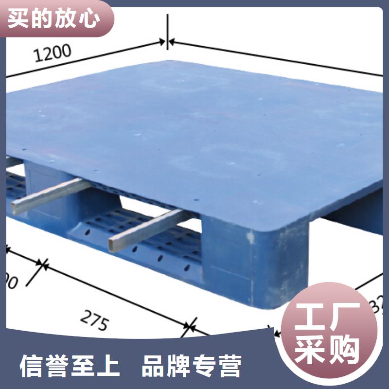 塑料托盘_仓储塑料托盘本地厂家值得信赖