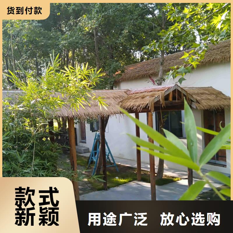 农村自建别墅排名