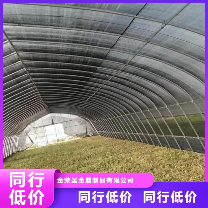 环县葡萄沃柑种植大棚按需定制