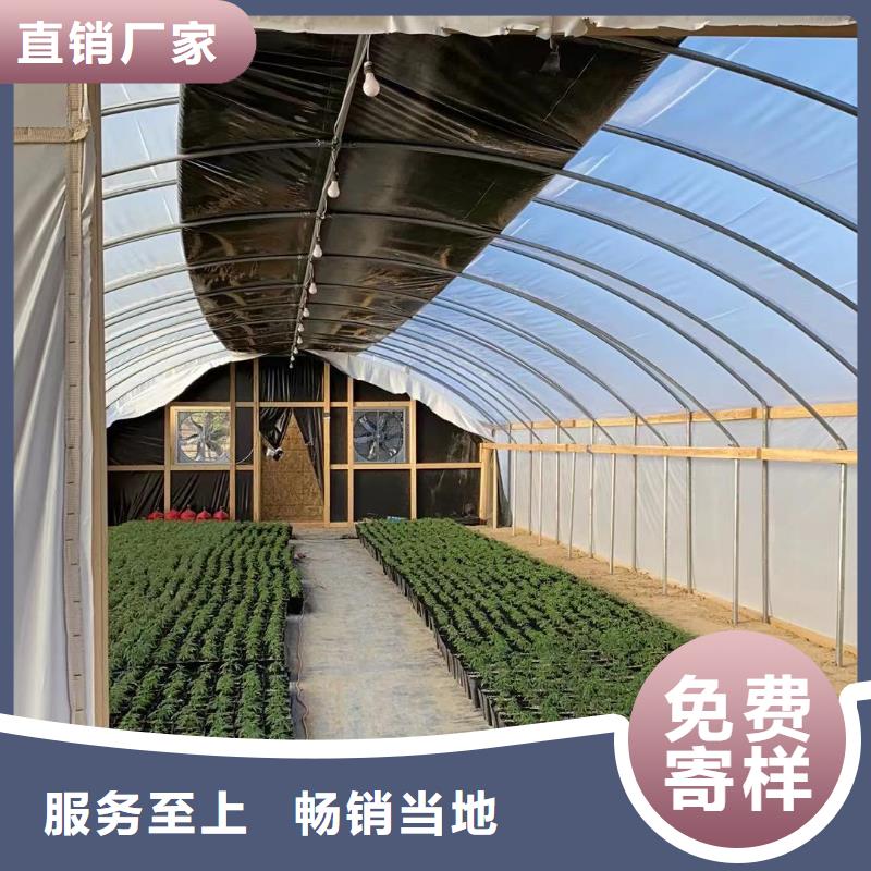 苏仙区蔬菜大棚骨架型号全2024--境内派发