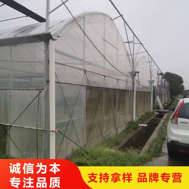 中草药大棚出厂价格金荣圣大棚