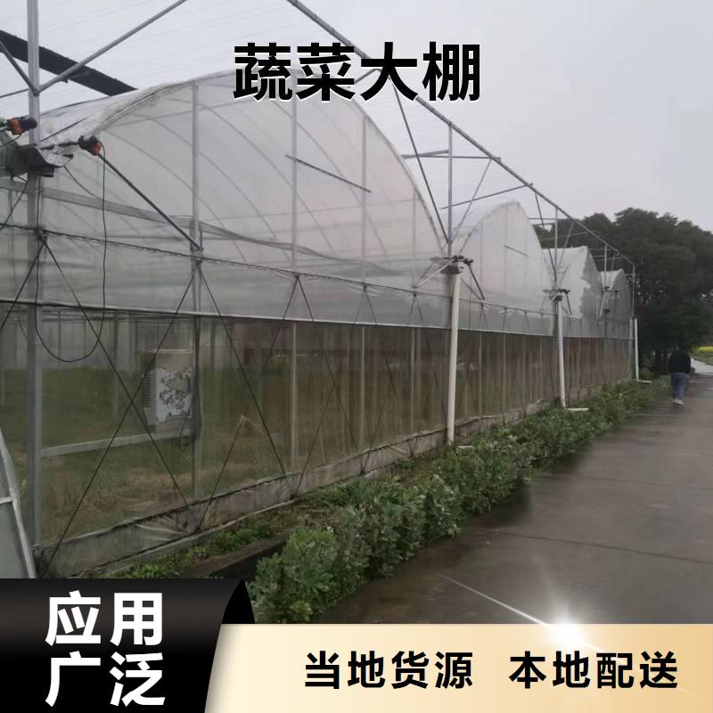 当地(金荣圣)当地(金荣圣)龙潭区蔬菜大棚厂直销价格