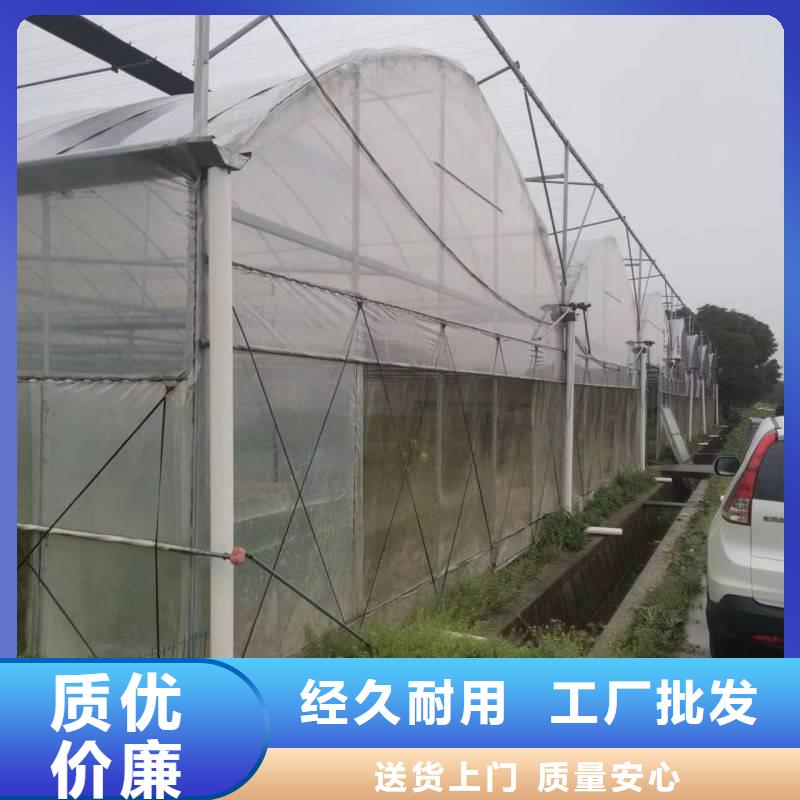 泗洪县葡萄避雨大棚源头厂家