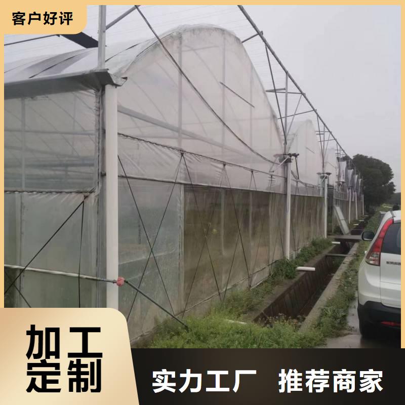 临沭县葡萄避雨大棚品质保证