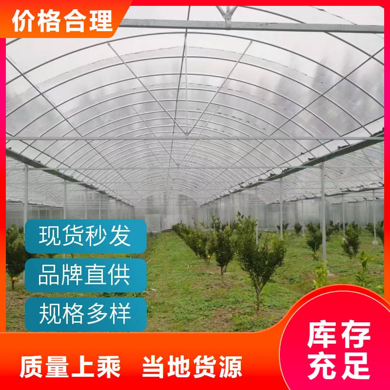 临沭县葡萄避雨大棚品质保证