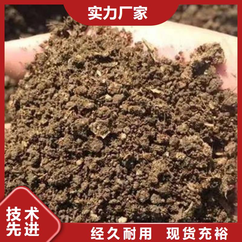 山东青岛市南有机肥好不好农民说了算