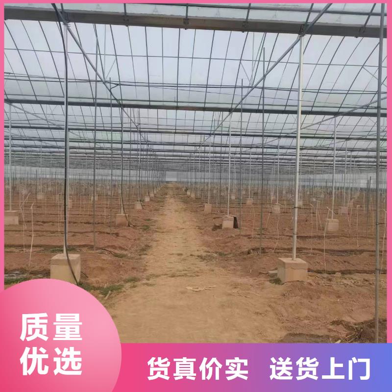 【温室大棚】太阳能光伏支架工期短发货快