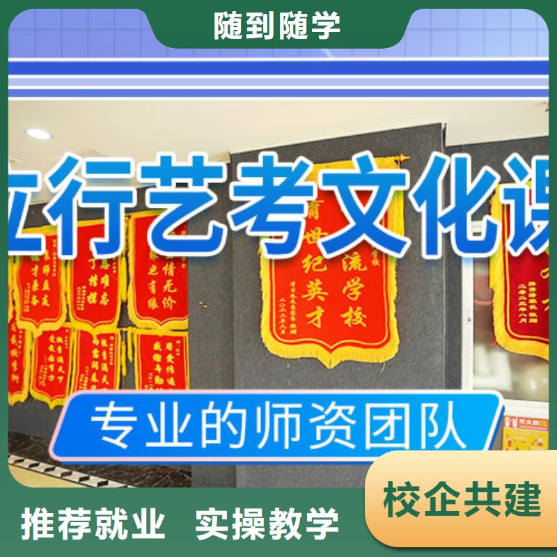 艺术生文化课补习班能不能报名这家学校呢