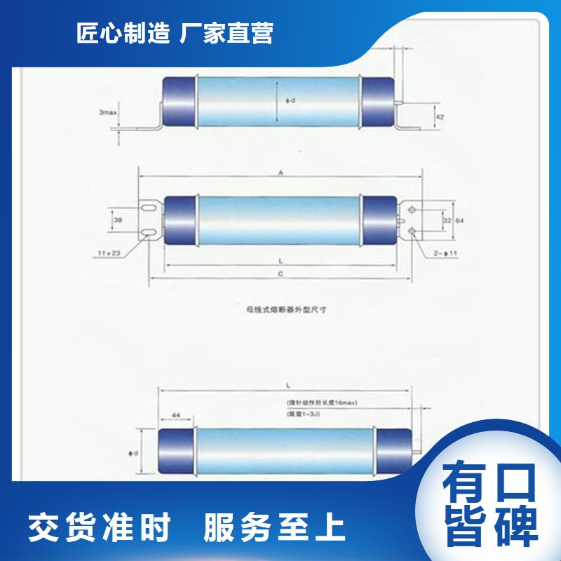 RXWO-40.5/5A限流熔断器