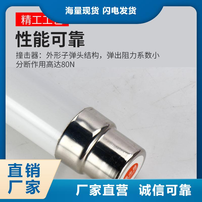 XRNP1-40.5/1A高压熔管专业生产品质保证(樊高)