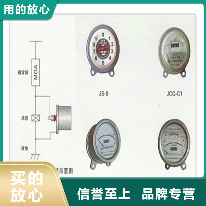 计数器氧化锌避雷器真材实料诚信经营